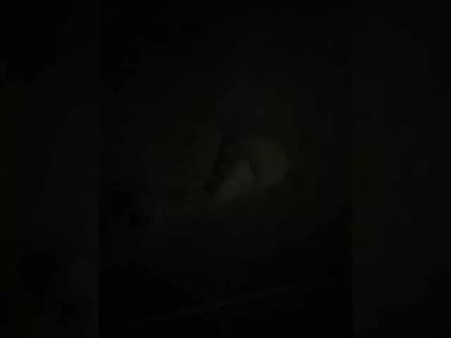 lis2000a on BongaCams 