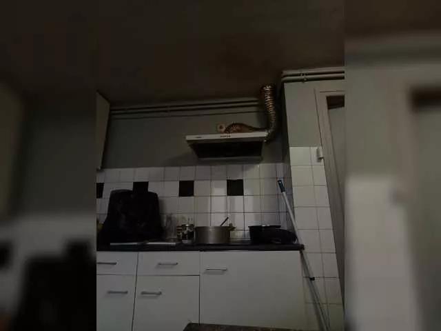 Mimi198201 on BongaCams 