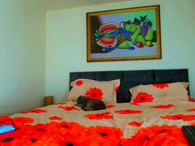 ParisVany26 on BongaCams 