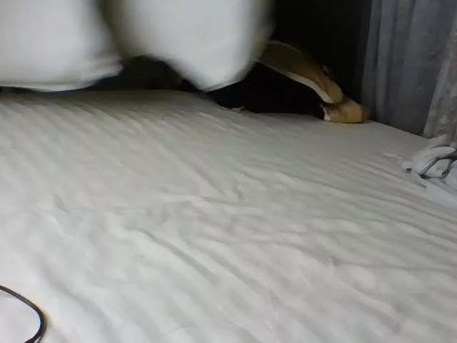 Sexymaya22 on BongaCams