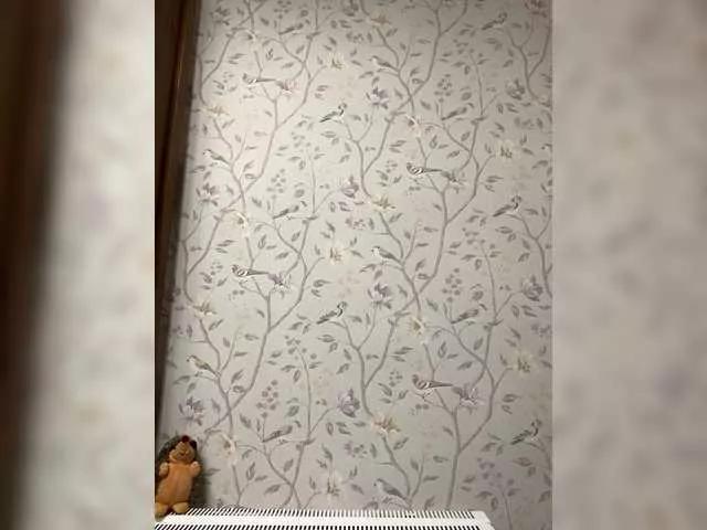 Svetochekk on BongaCams 