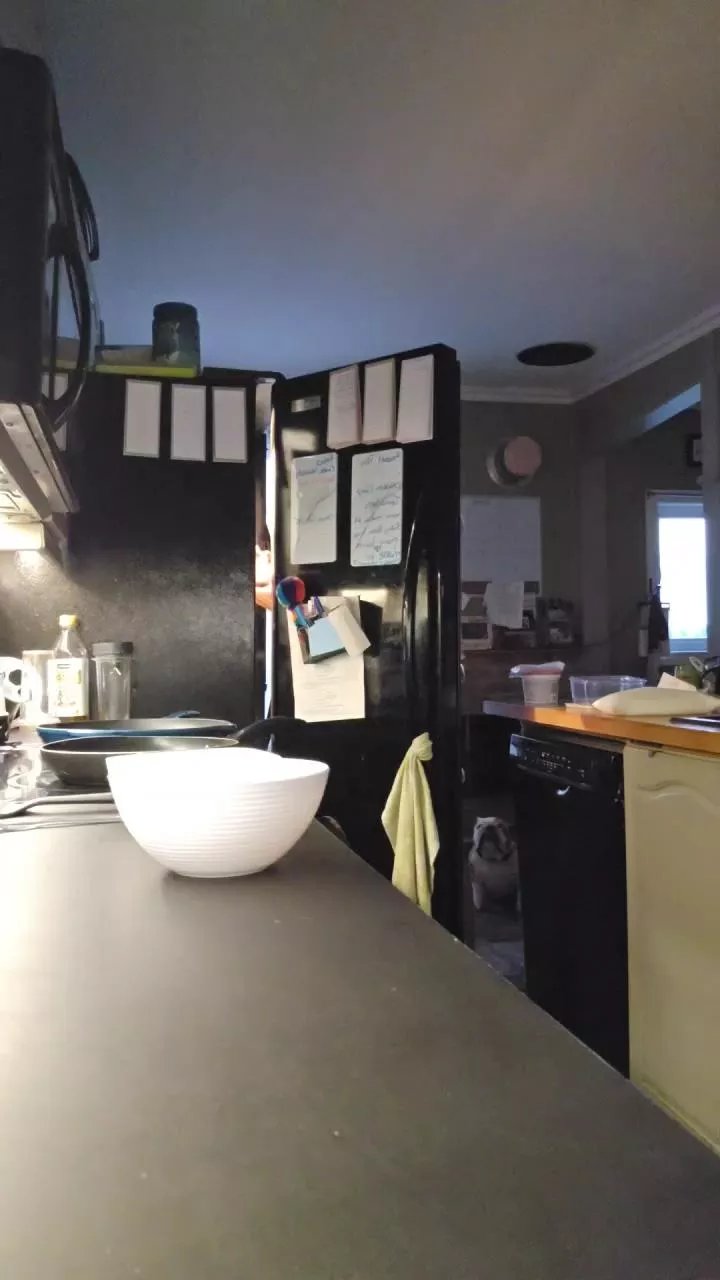 Offline 4_Fox_sakes on Cam4