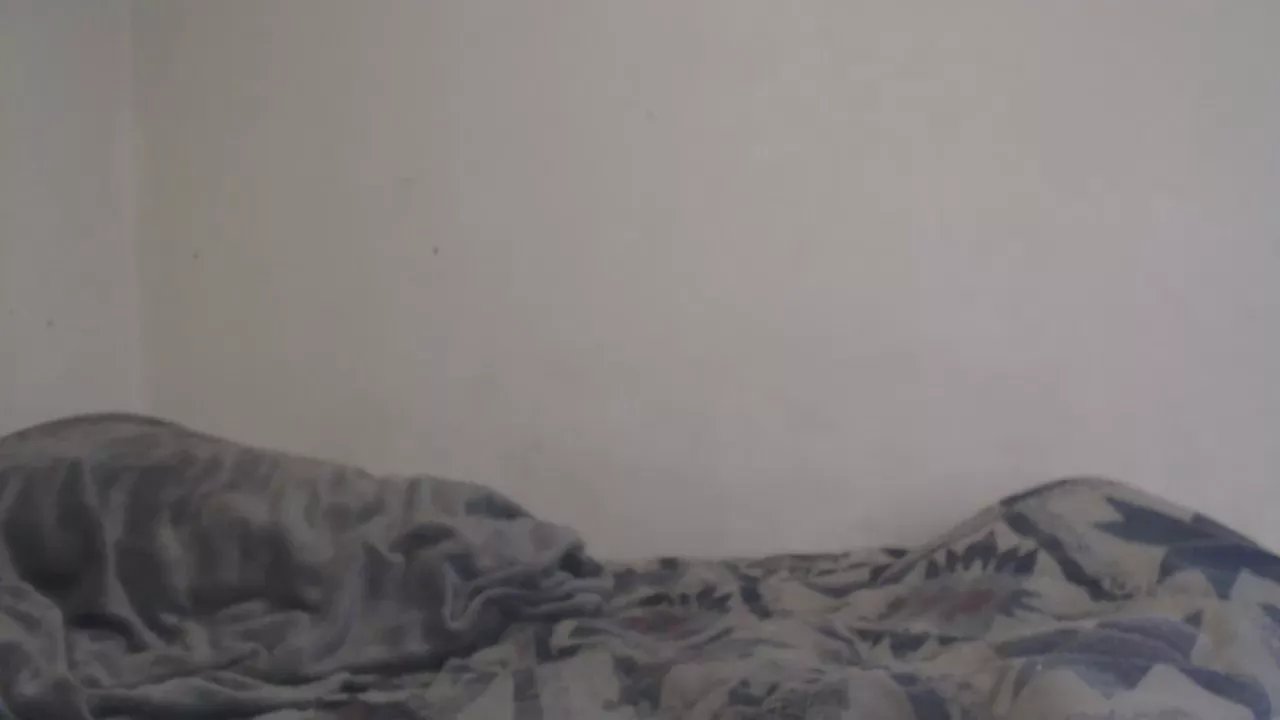 Offline bigBUZZZZ69 on Cam4