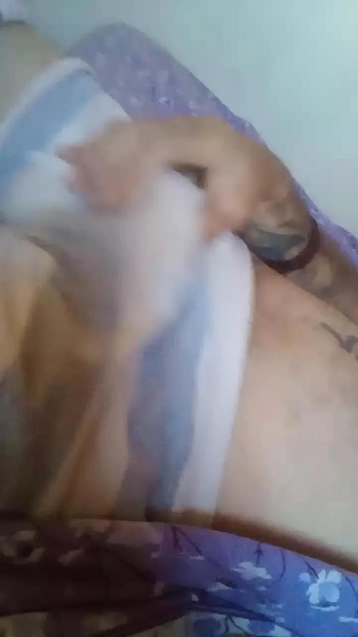 Carlitos12 on Cam4 