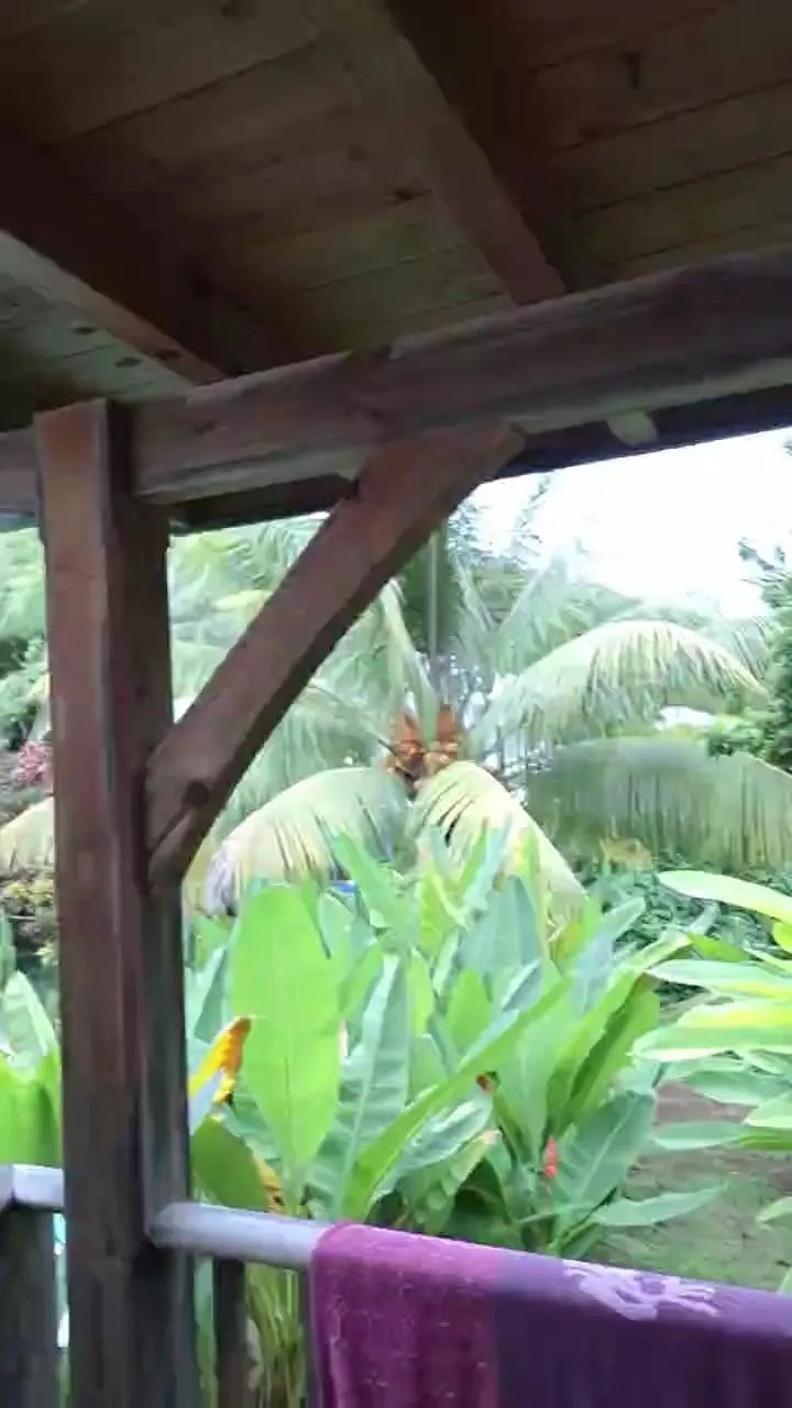 Offline Drizack44 on Cam4