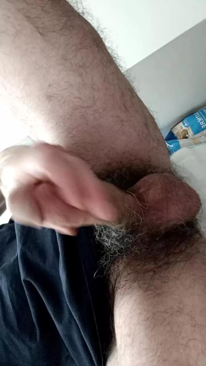 Majid1976 on Cam4 