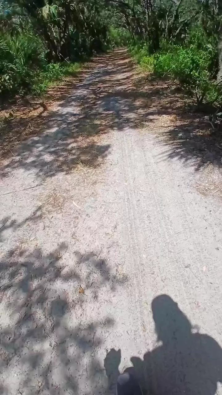 Offline masterchamp01 on Cam4