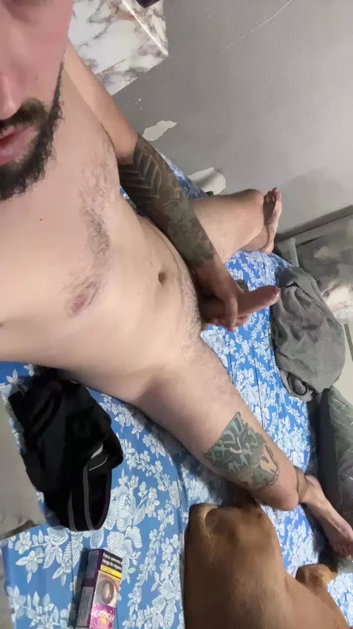 Offline Pnt4 on Cam4