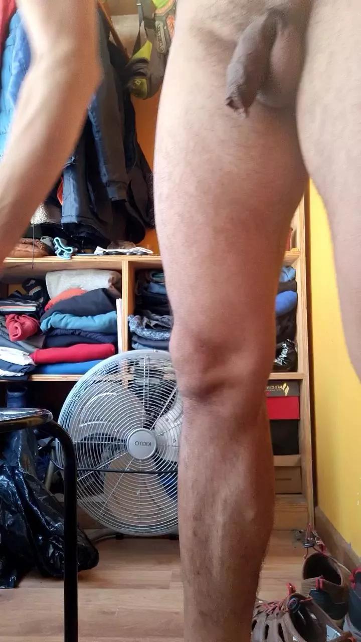 potro137 on Cam4 