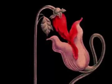 katsurotaro on Chaturbate