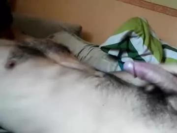 lshot_d on Chaturbate