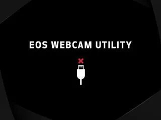 Offline tony_hoffa on Flirt4Free