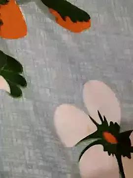 Freechat Hot_modal on StripChat