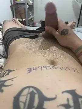 PitbullDiablo1 on StripChat